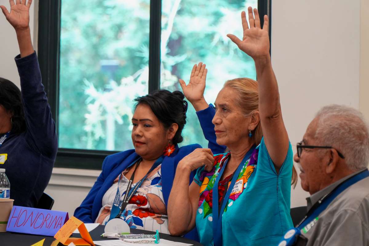 CRLA board members raise hands while seated at conference table