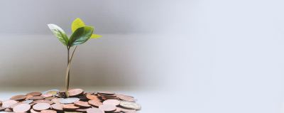 A seedling growing out of a mound of pennies.