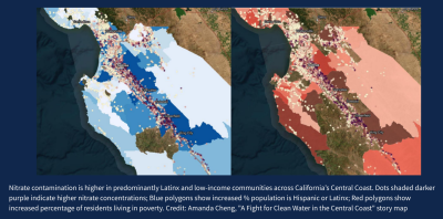 Map of nitrate contamination on Central Coast accompanied with caption that reads "Nitrate contamination is higher in predominantly Latinx and low-income communities across California’s Central Coast. Dots shaded darker purple indicate higher nitrate concentrations; Blue polygons show increased % population is Hispanic or Latinx; Red polygons show increased percentage of residents living in poverty. Credit: Amanda Cheng, "A Fight for Clean Water in the Central Coast" story map."