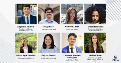 Photo collage of eight law student summer interns