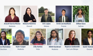 Photo collage of eleven law student summer interns